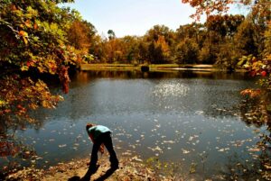 Fall outdoor scene