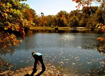 Fall outdoor scene